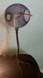 Bird Caged