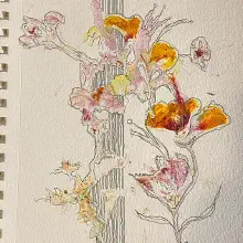 Sketches