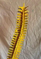 Key Sculpture - Yellow Sunrise